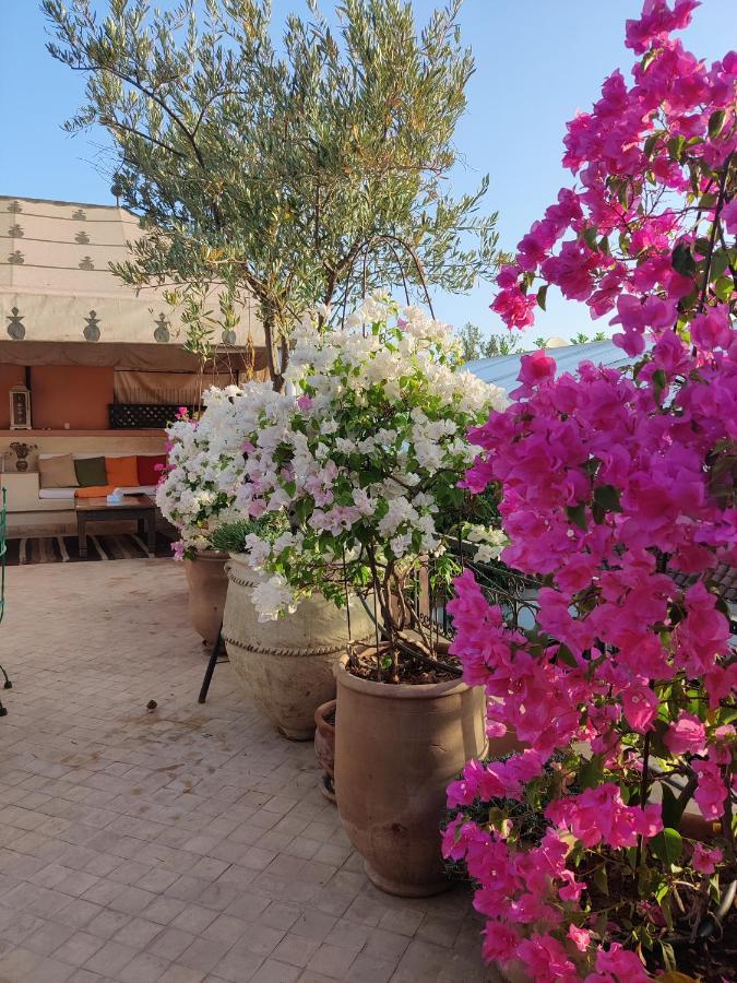 Riad Nirvana Marrakesh Luaran gambar