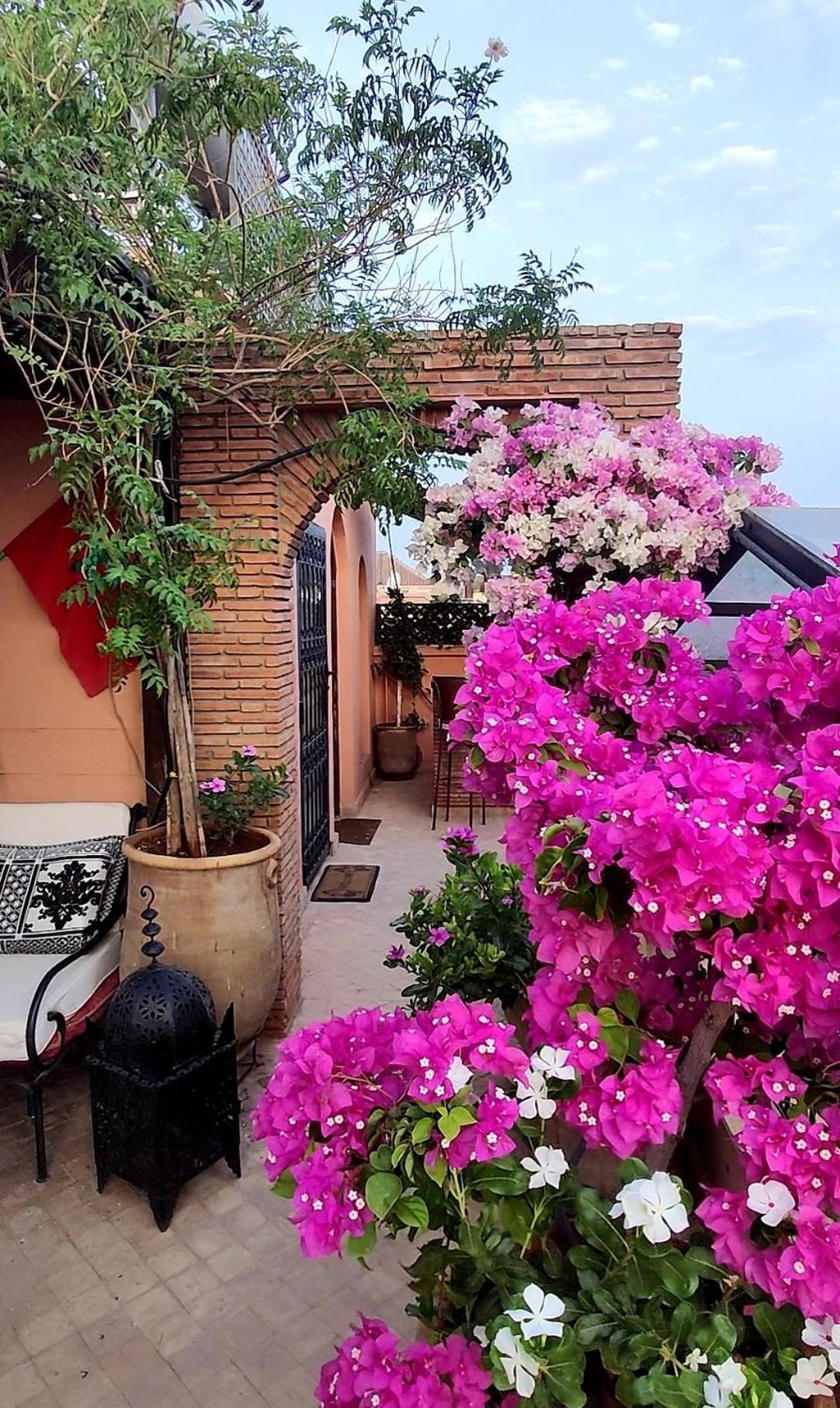 Riad Nirvana Marrakesh Luaran gambar
