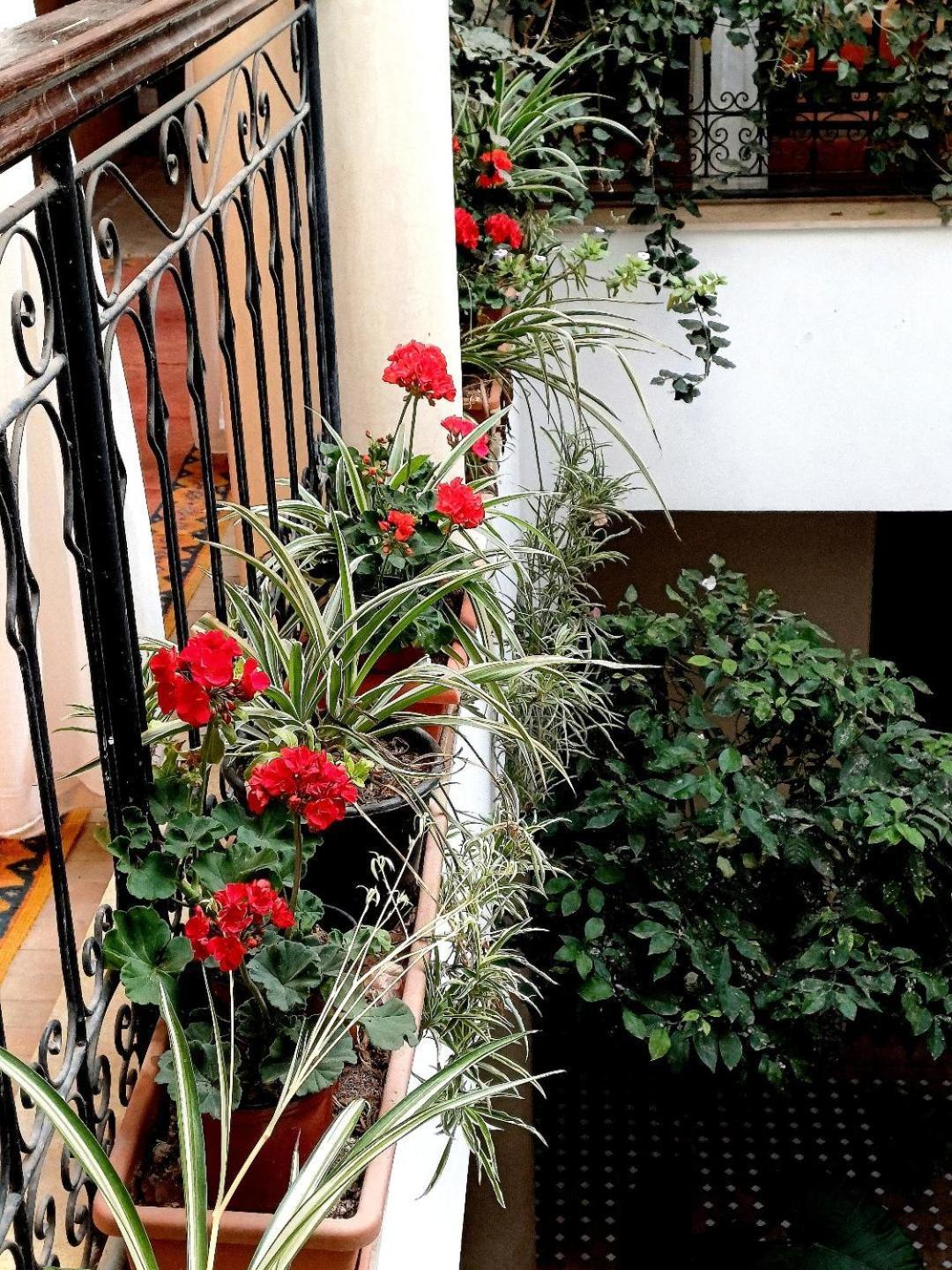Riad Nirvana Marrakesh Luaran gambar